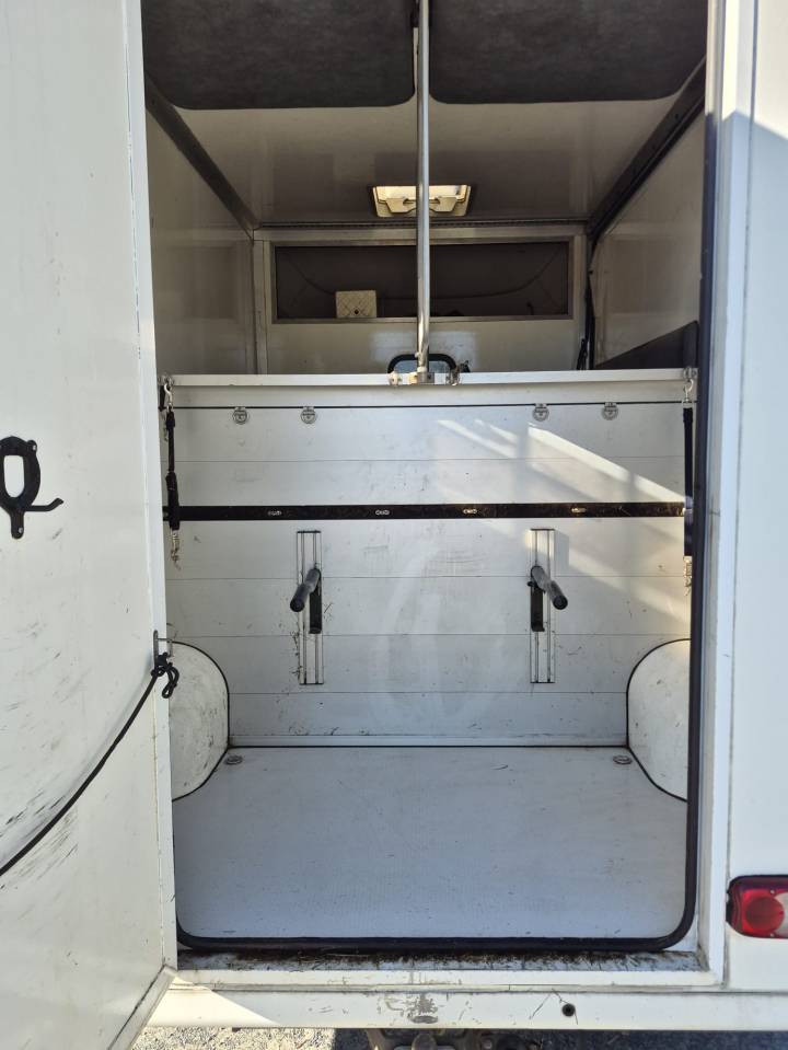 Horsebox HGV Paragan  2013 Used