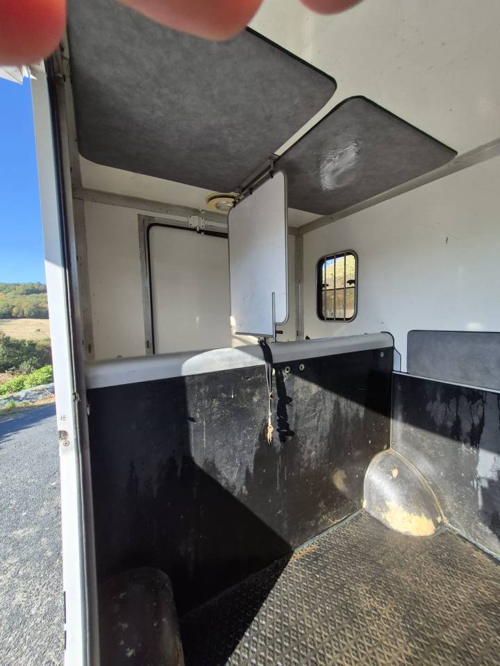 Horsebox HGV Paragan  2013 Used