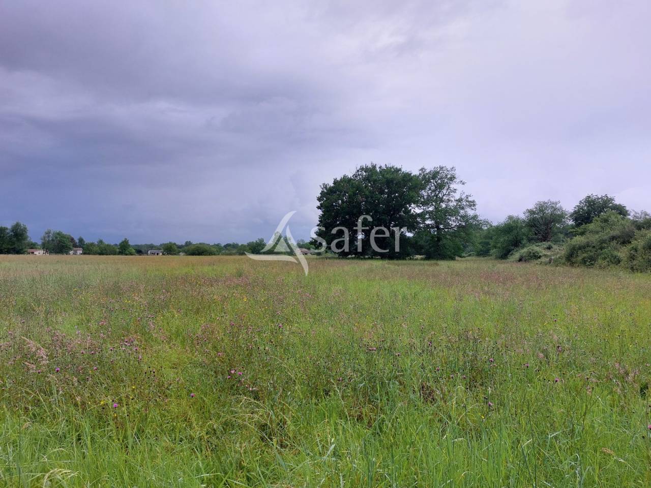 Other agricultural property  Dordogne