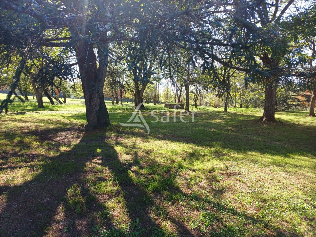 Other agricultural property  Charente-Maritime