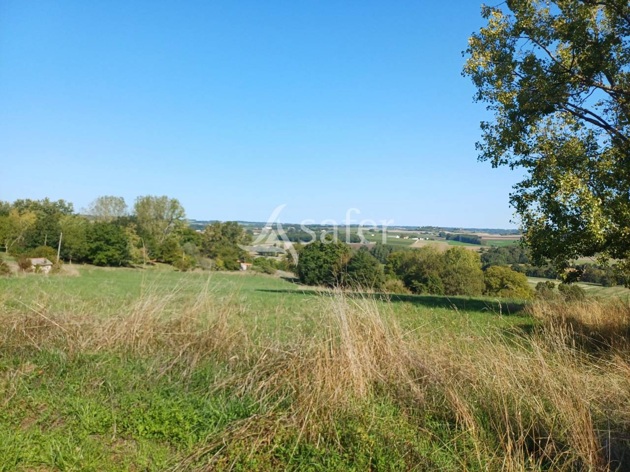 Other agricultural property  Charente-Maritime