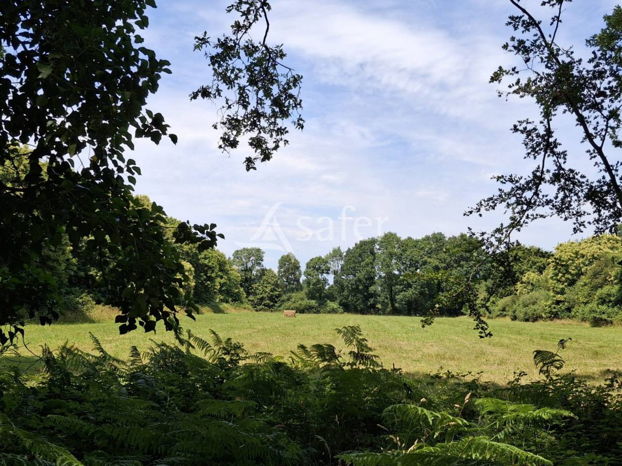 Other country property  Loire-Atlantique