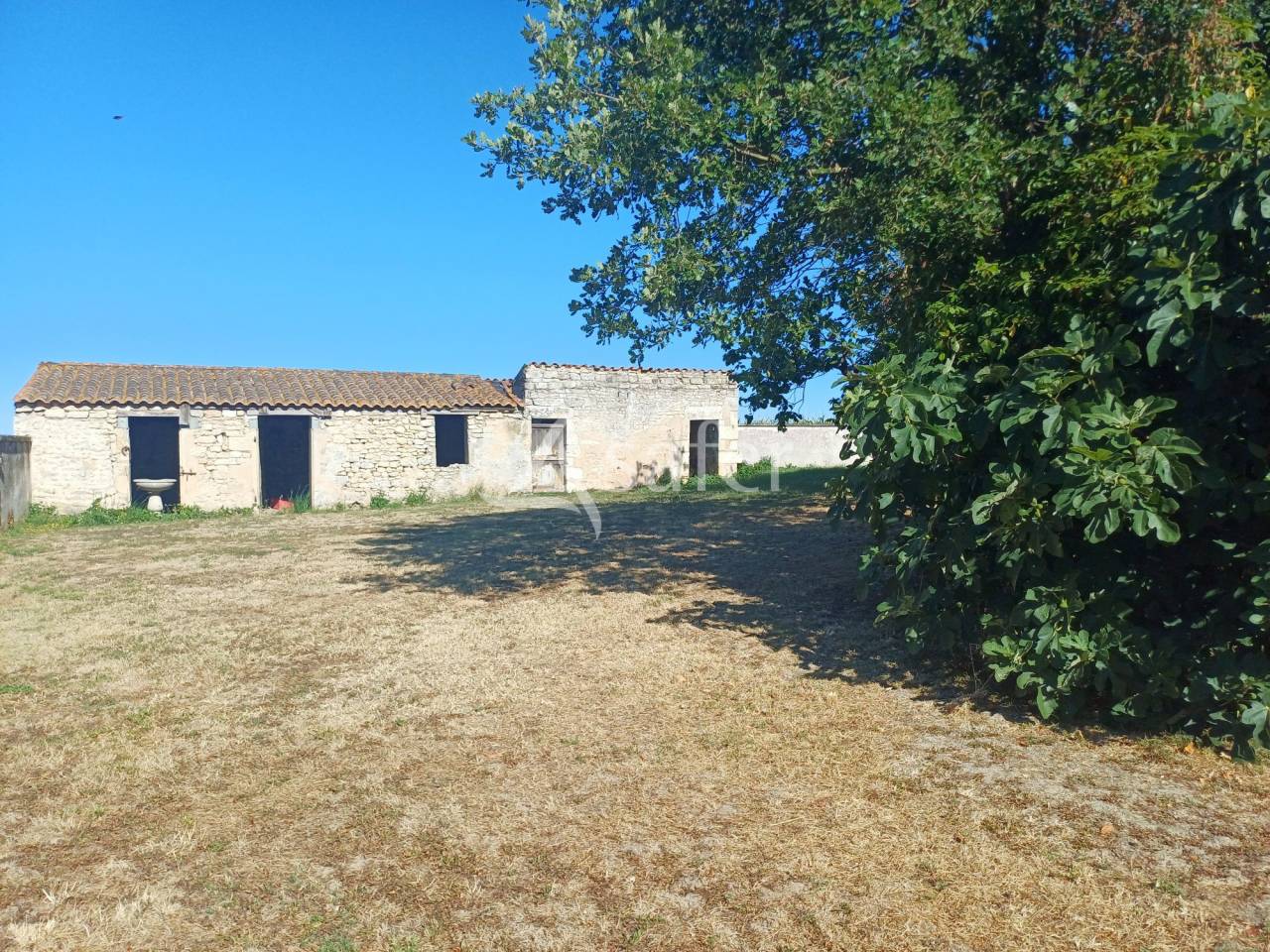 Other agricultural property  Charente-Maritime