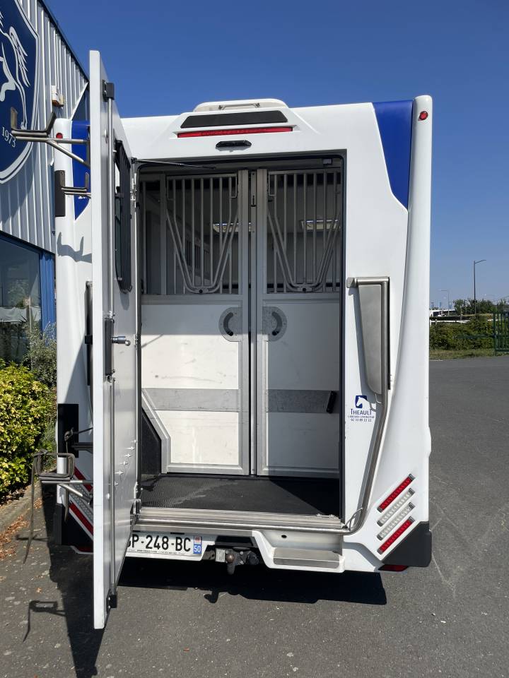Horsebox HGV Theault master 2023 Used
