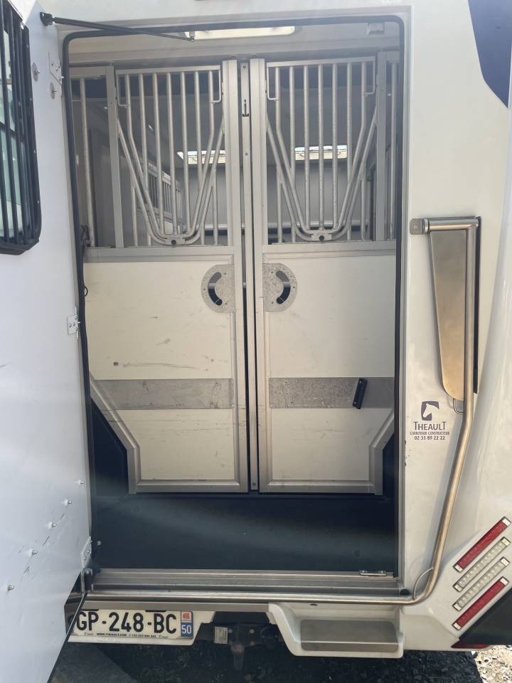 Horsebox HGV Theault master 2023 Used