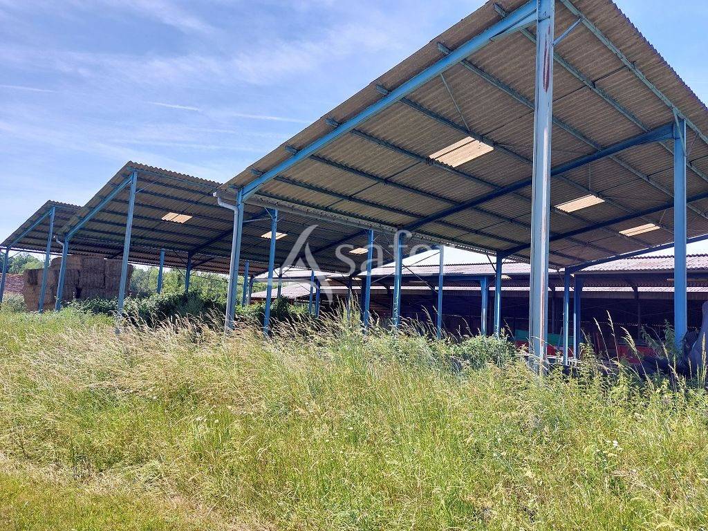 Sheep farm  Corr&egrave;ze