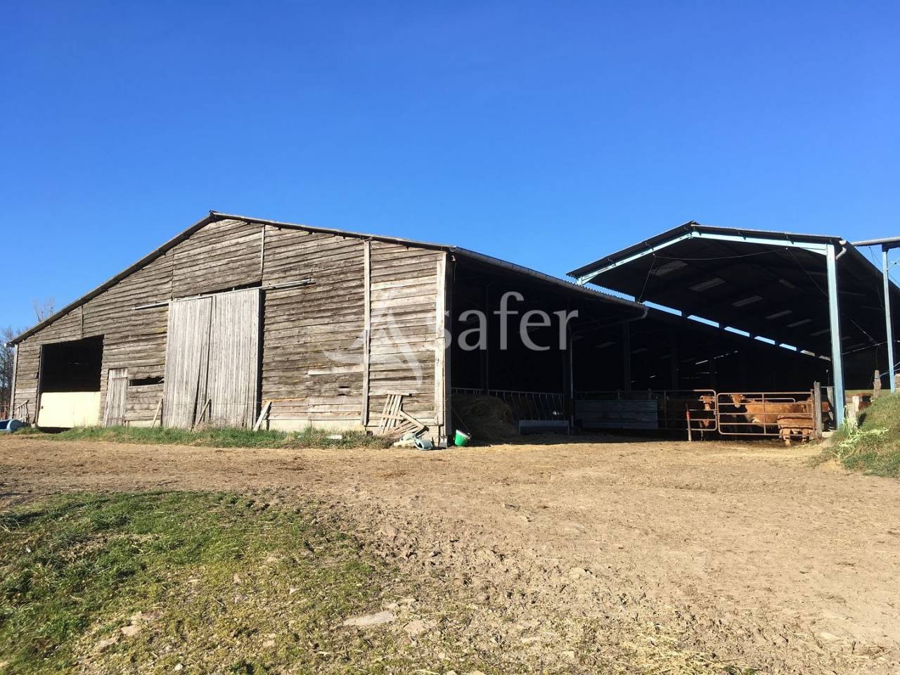 Sheep farm  Corr&egrave;ze