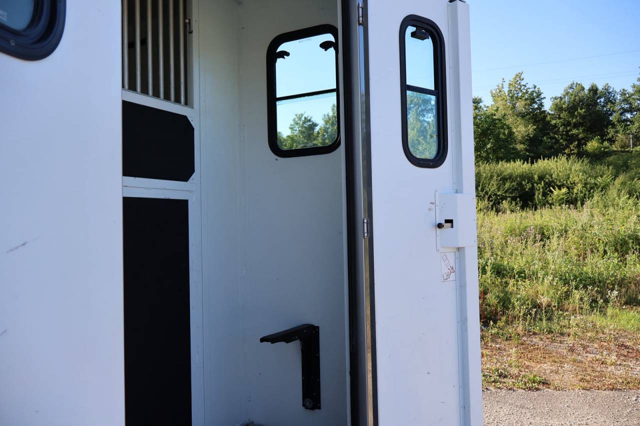 Horsebox HGV Theault THEAULT MASTER 2017 Used