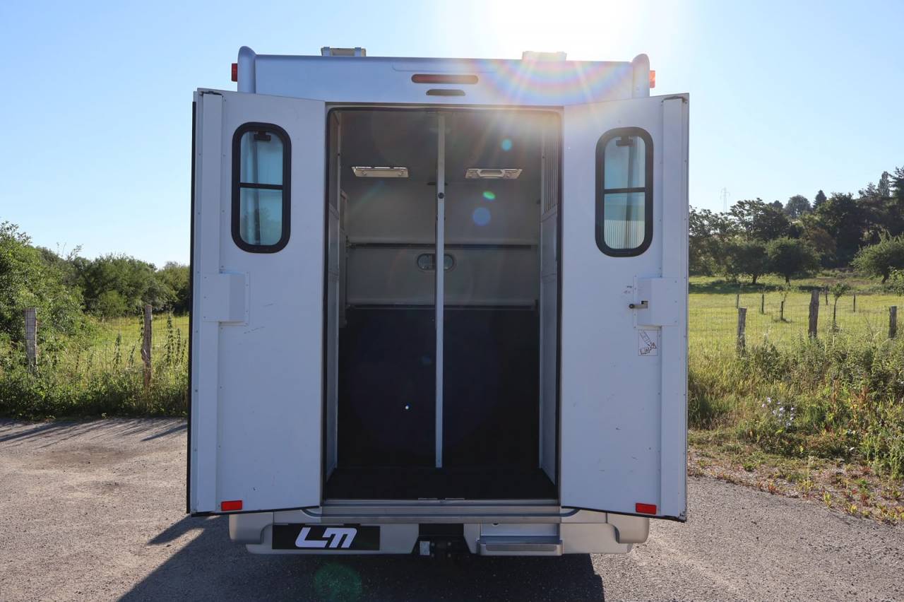 Horsebox HGV Theault THEAULT MASTER 2017 Used