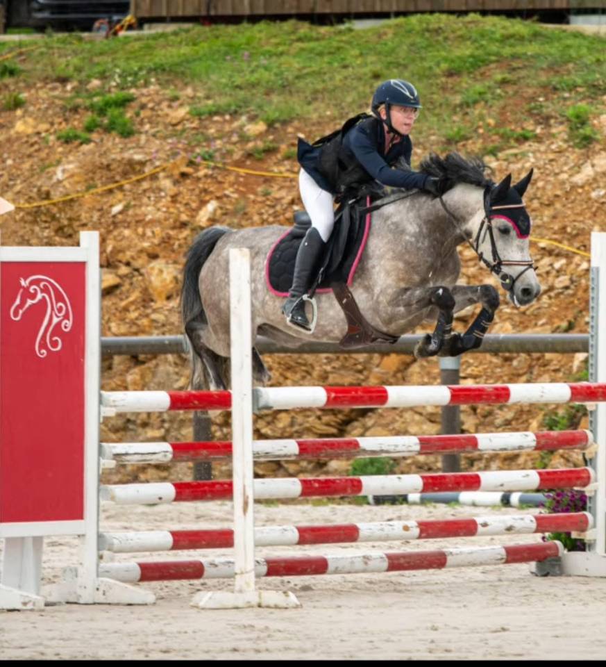 Mare French Saddle Pony For sale 2019 Bay