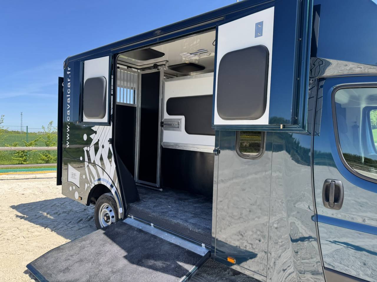 Horsebox HGV Cavalcar Stallium 5 2025 New