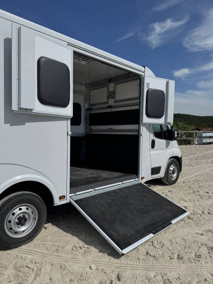 Horsebox HGV Cavalcar Stallium 3 2025 New
