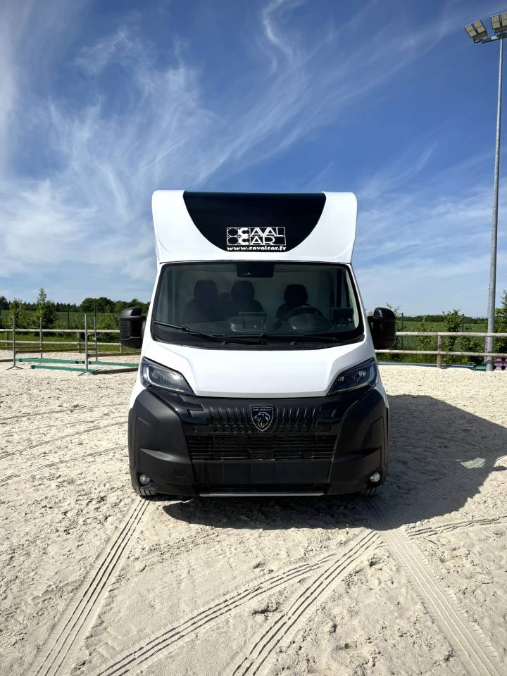 Horsebox HGV Cavalcar Stallium 3 2025 New