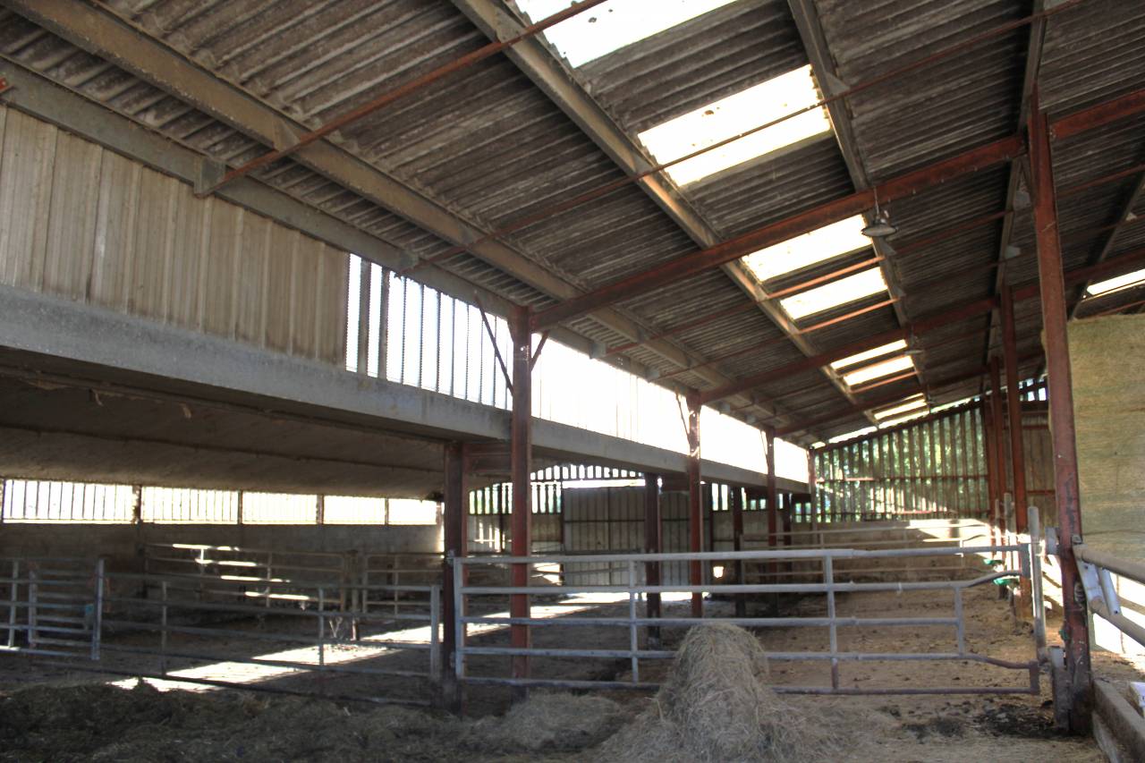 Equestrian property  Tarn-et-Taronne