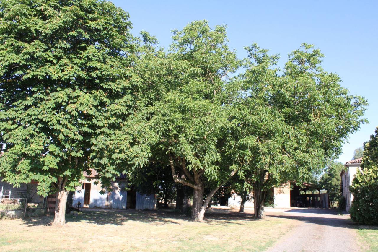 Equestrian property  Tarn-et-Taronne
