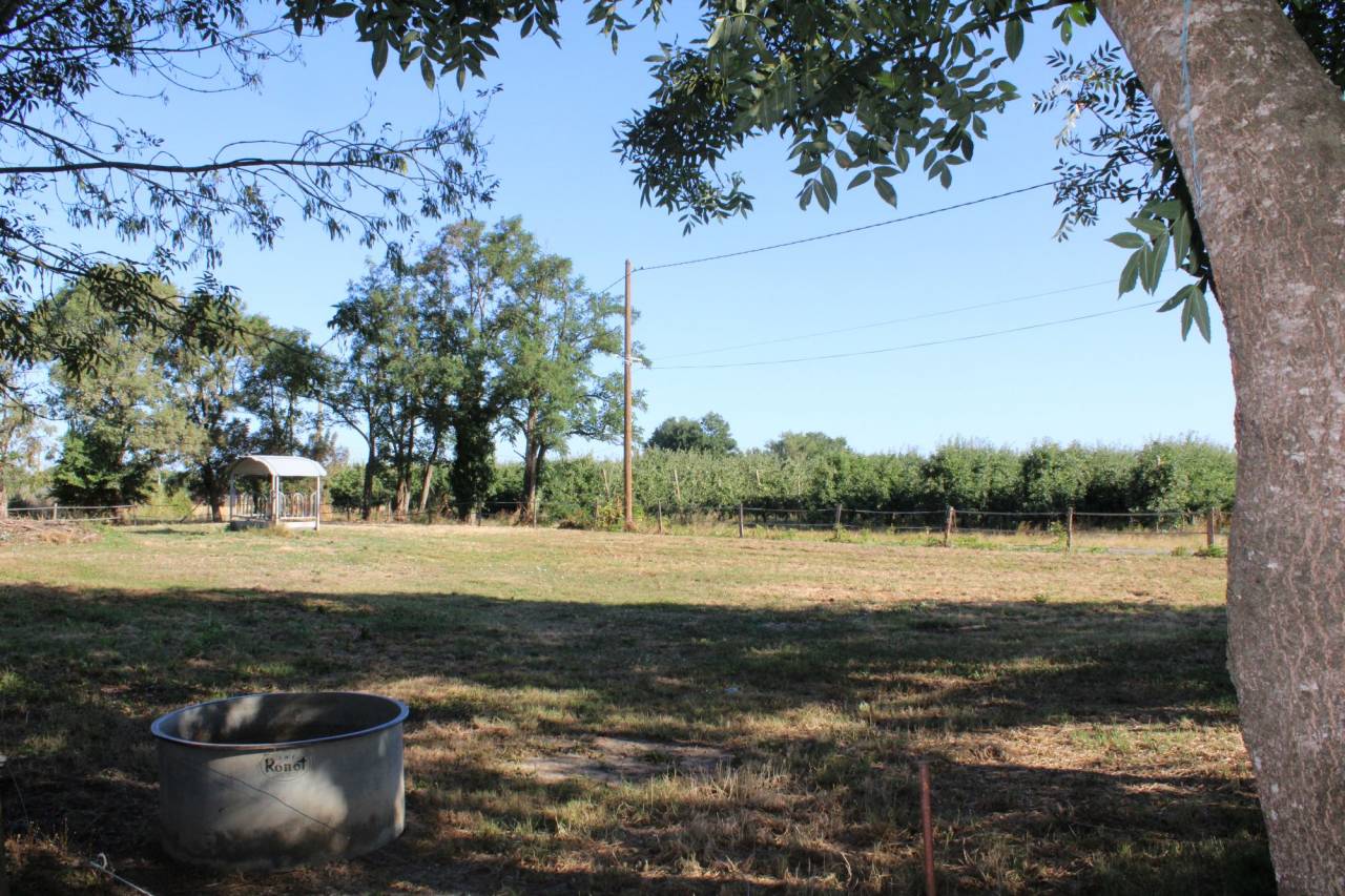 Equestrian property  Tarn-et-Taronne