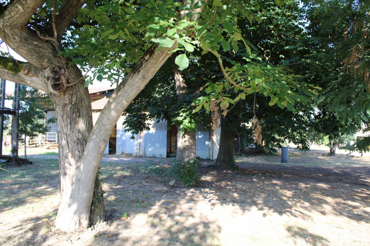 Equestrian property  Tarn-et-Taronne