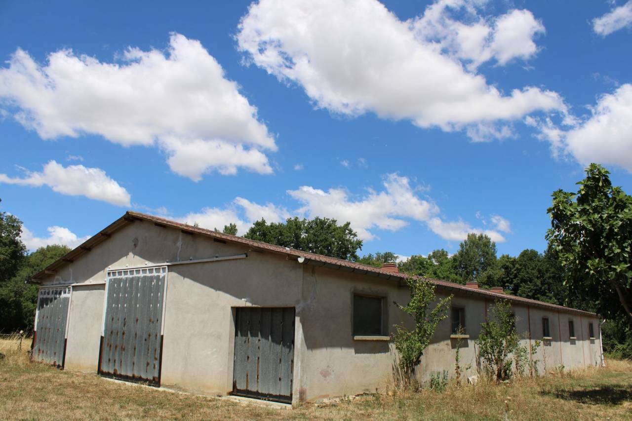 Equestrian property  Haute-Garonne