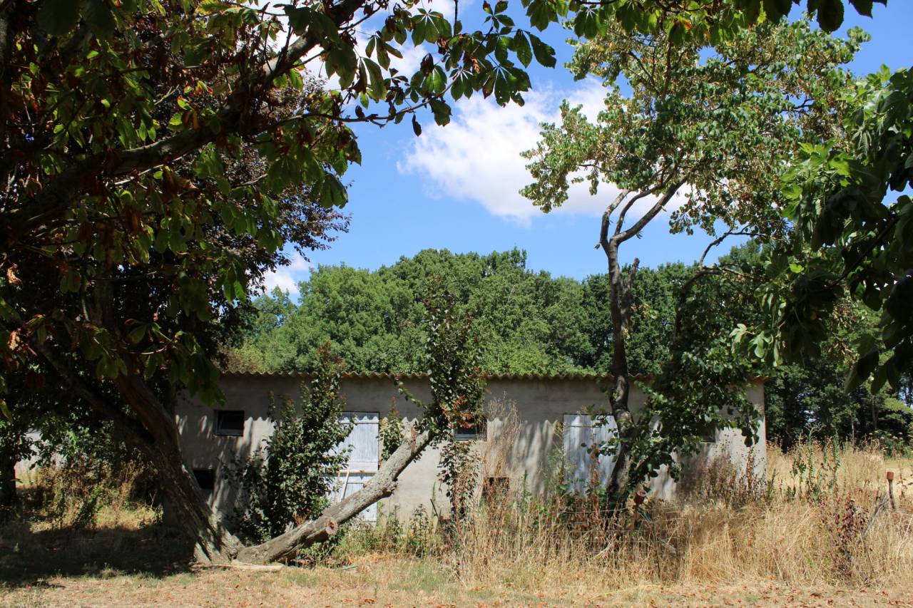 Equestrian property  Haute-Garonne