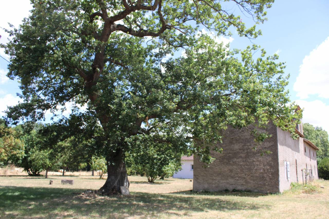 Equestrian property  Haute-Garonne
