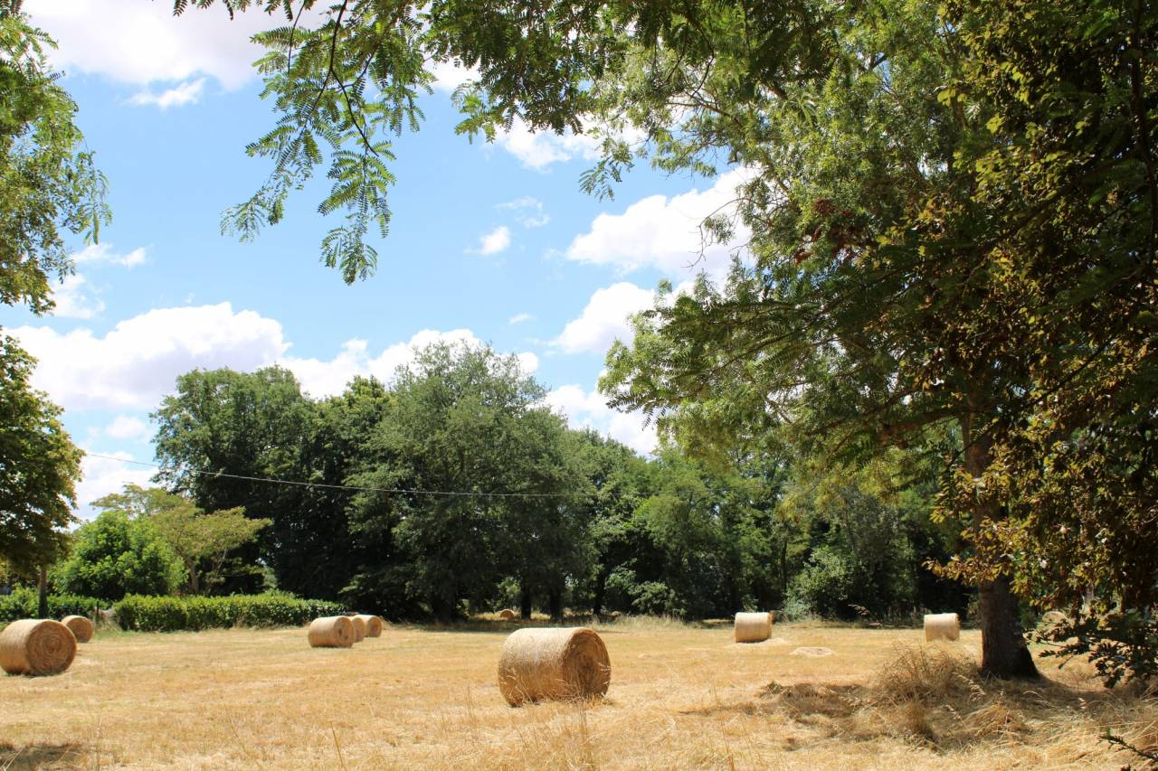 Equestrian property  Haute-Garonne
