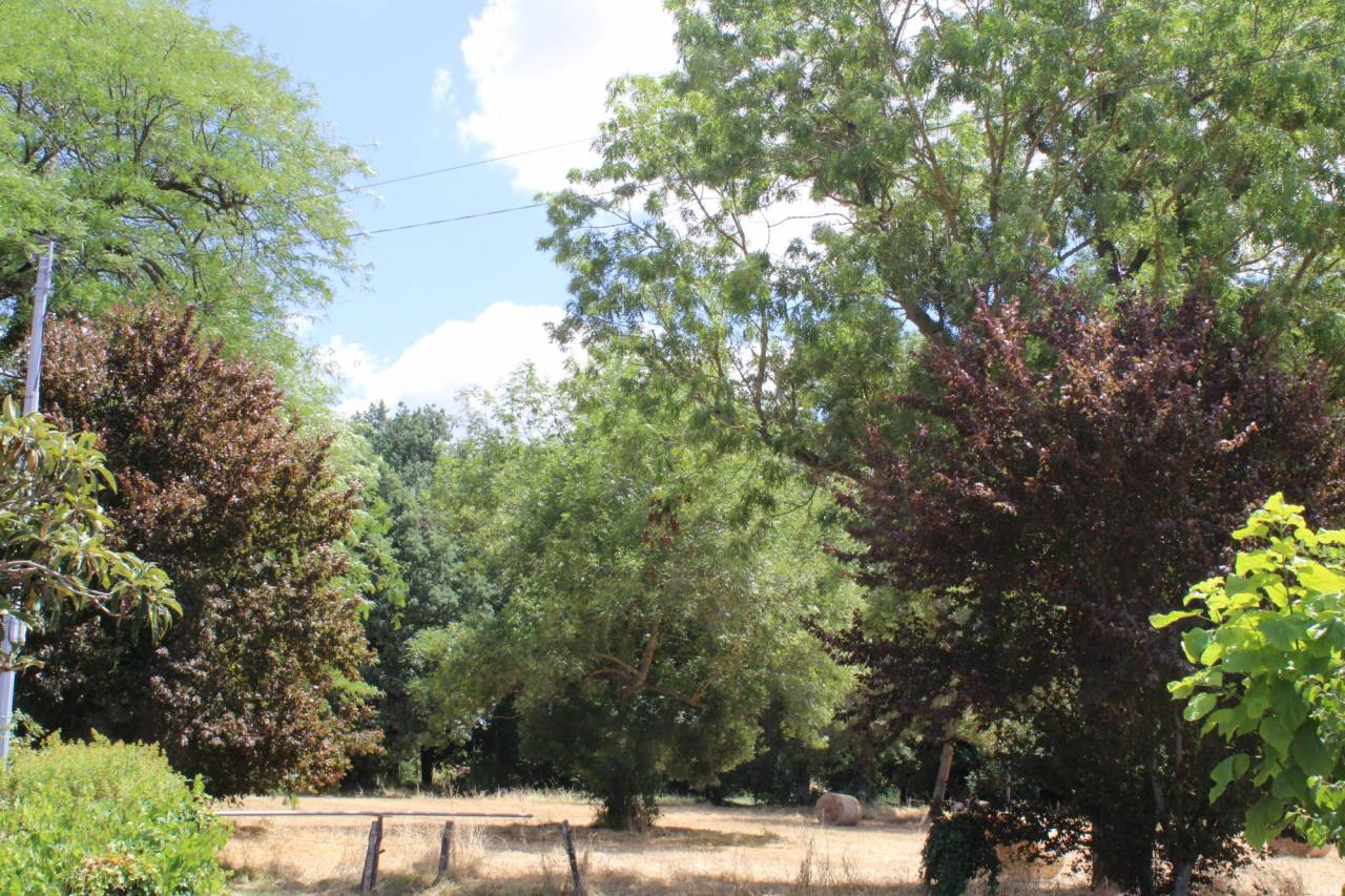 Equestrian property  Haute-Garonne