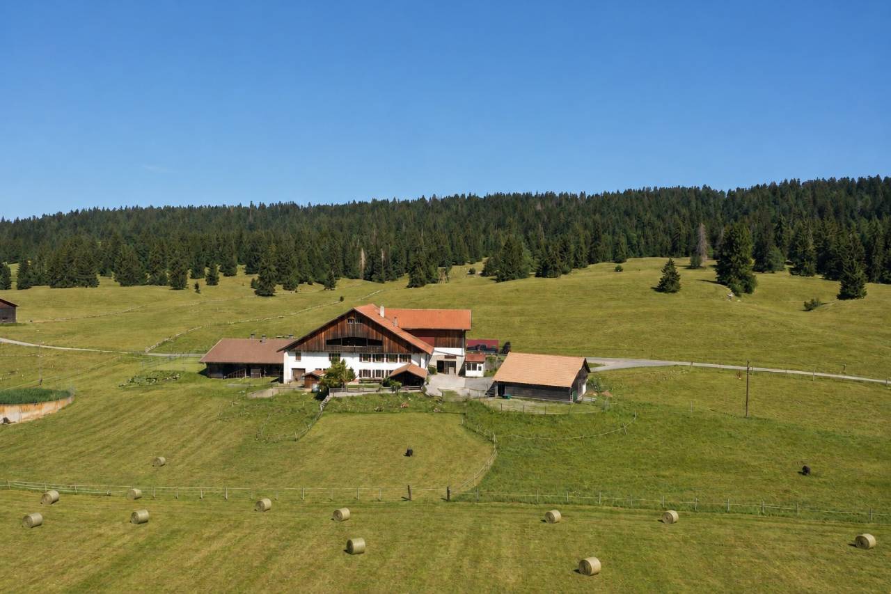 Equestrian farm  Neuch&acirc;tel