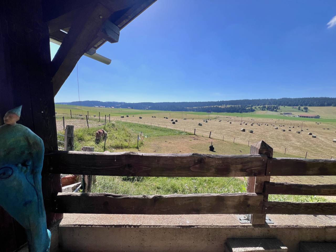 Equestrian farm  Neuch&acirc;tel