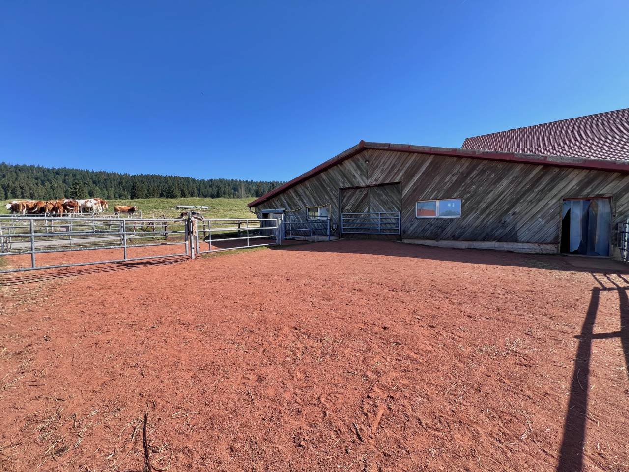 Equestrian farm  Neuch&acirc;tel