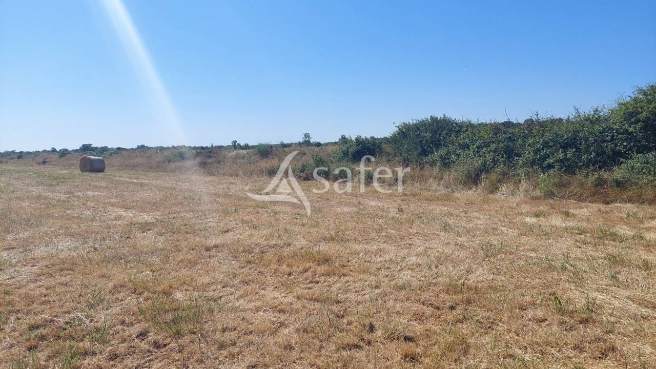 Other agricultural property  Charente-Maritime