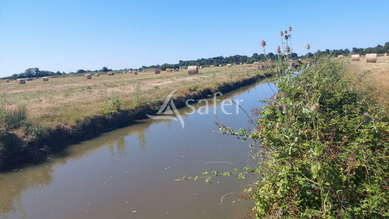 Other agricultural property  Charente-Maritime