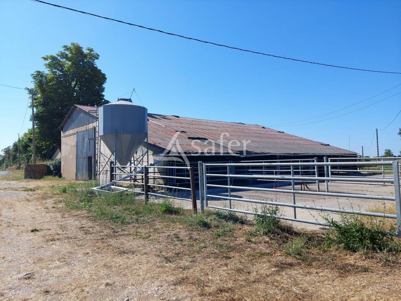 Other agricultural property  Charente-Maritime