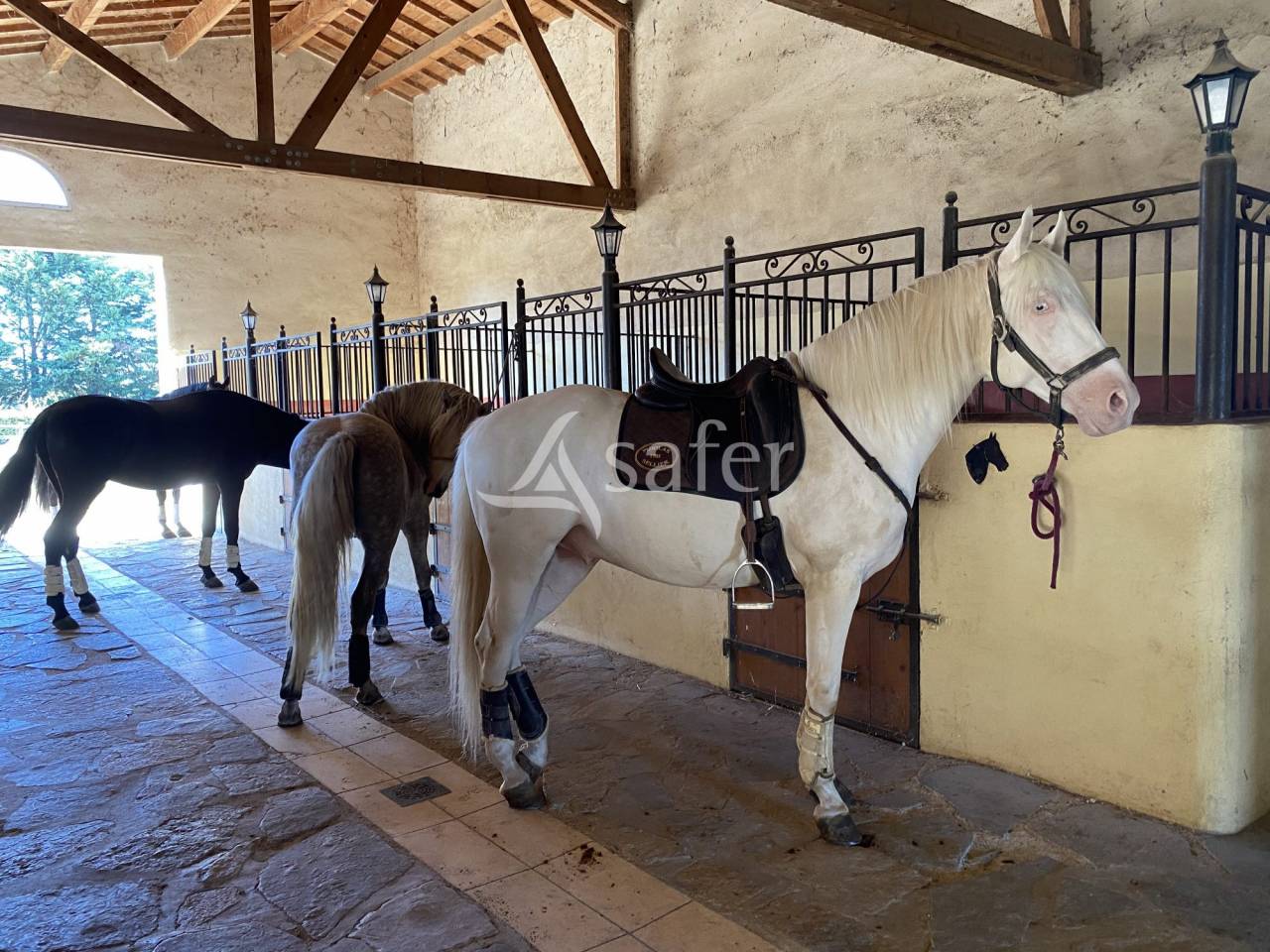 Equestrian property  H&eacute;rault