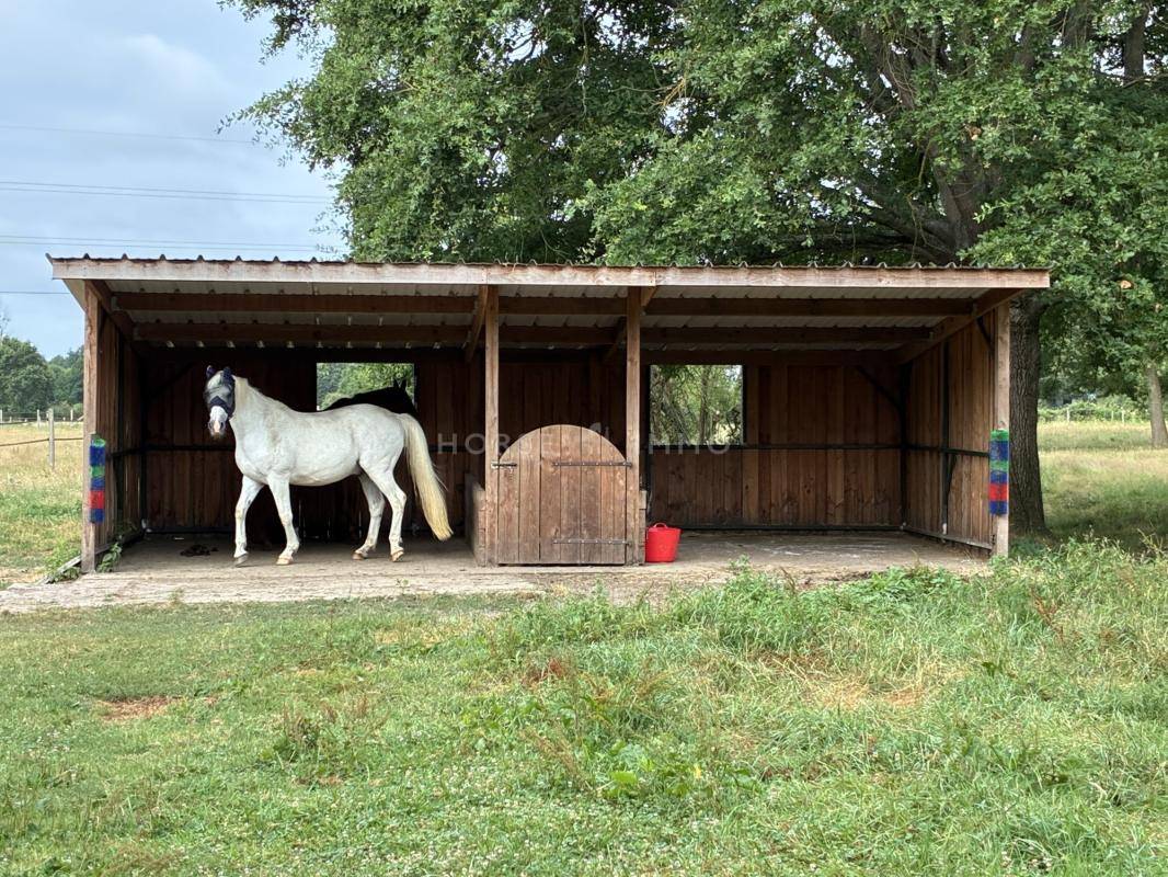 Equestrian property  Sarthe