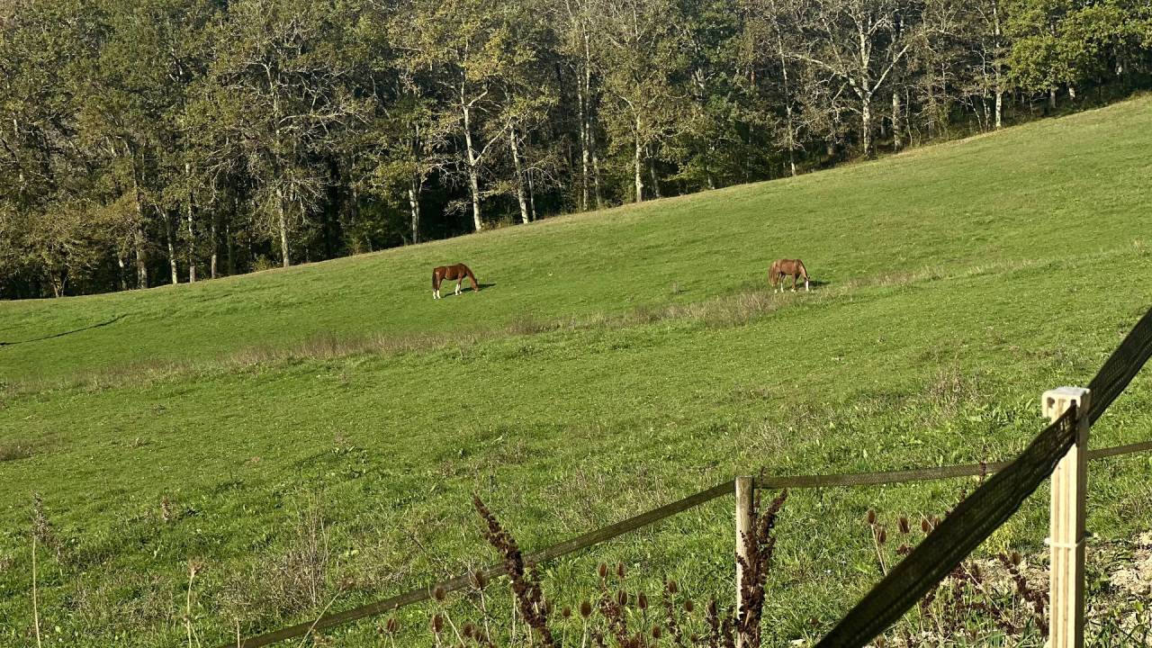 Equestrian property  Lot-et-Garonne