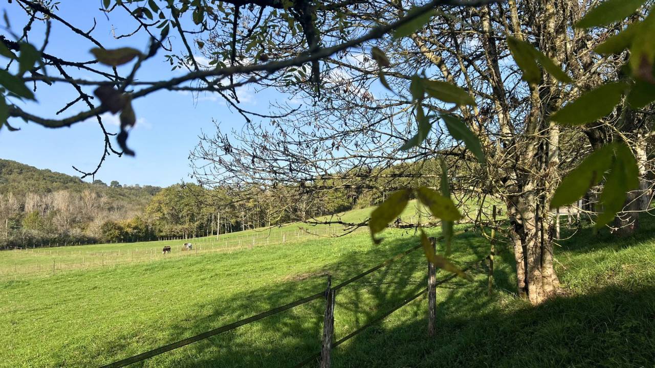 Equestrian property  Lot-et-Garonne