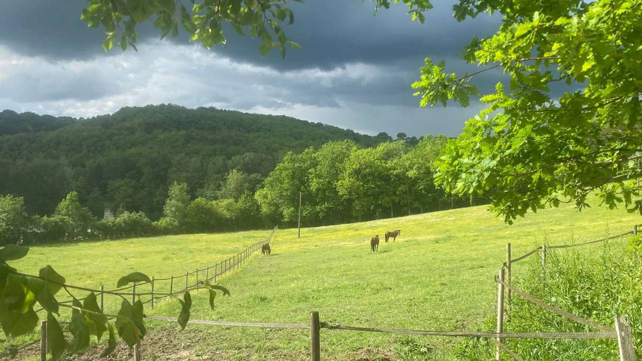 Equestrian property  Lot-et-Garonne