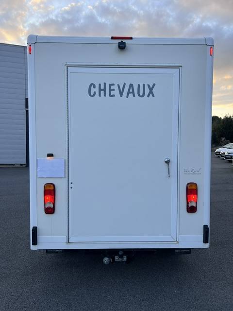 Horse trailer - Other brand - OPEL MOVANO RUCEL 2 Stalls 2011 Used
