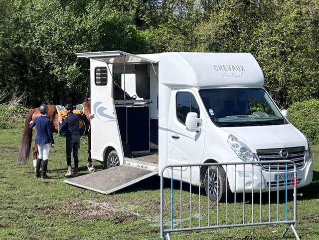 Horse trailer - Other brand - OPEL MOVANO RUCEL 2 Stalls 2011 Used