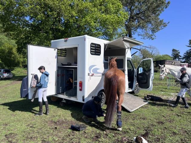 Horse trailer - Other brand - OPEL MOVANO RUCEL 2 Stalls 2011 Used
