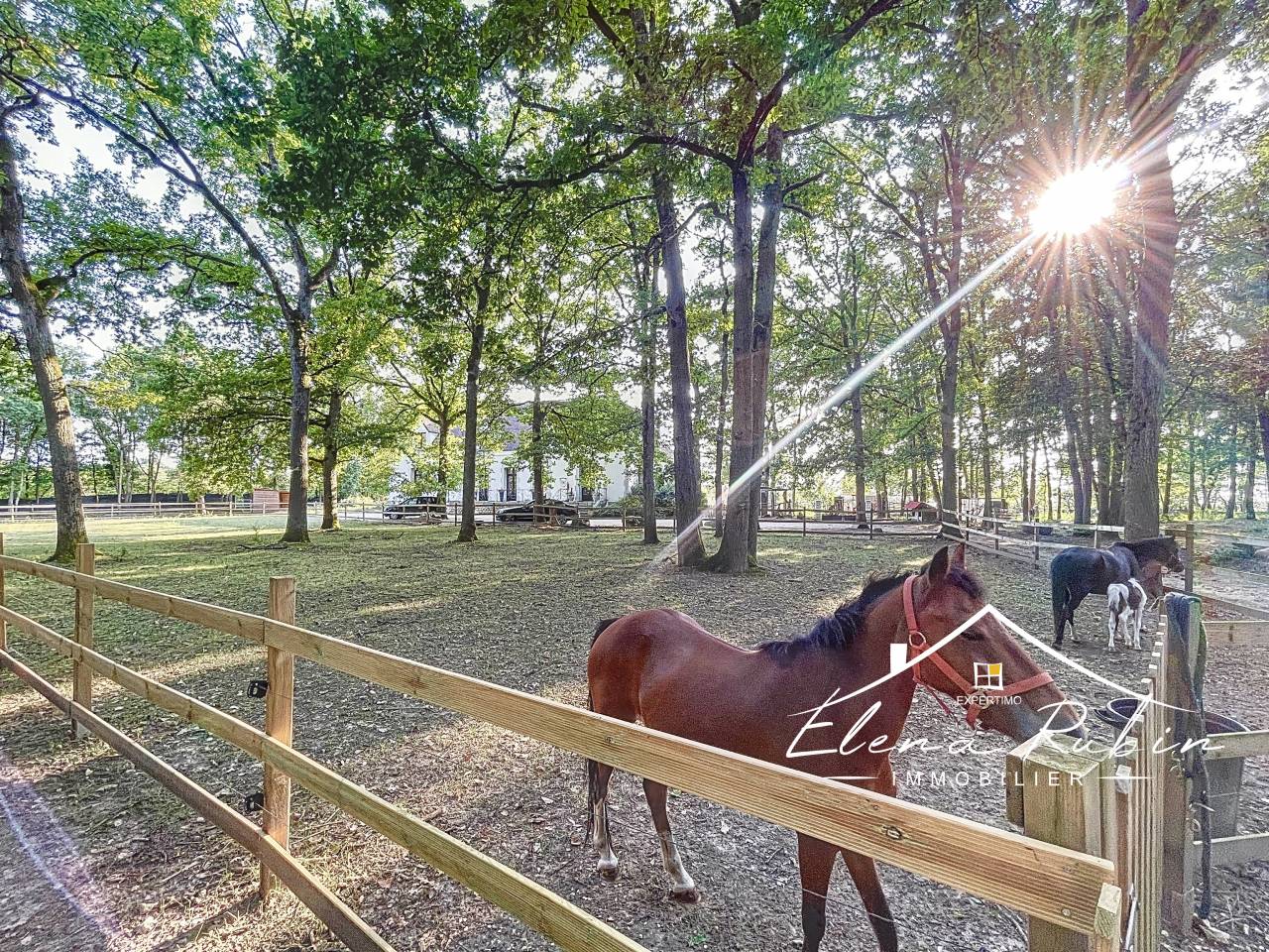 Luxurious equestrian property  Essonne