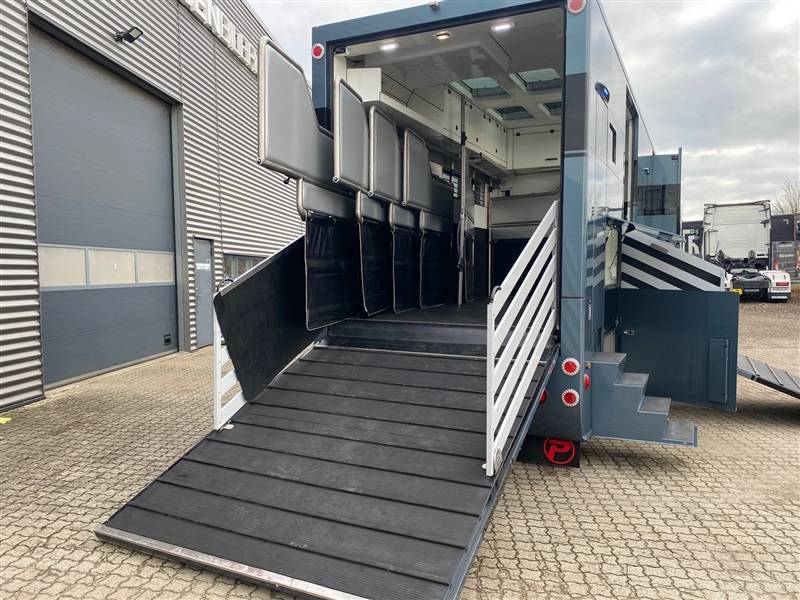 Horsebox NON-HGV Mercedes ketterer 2021 Used