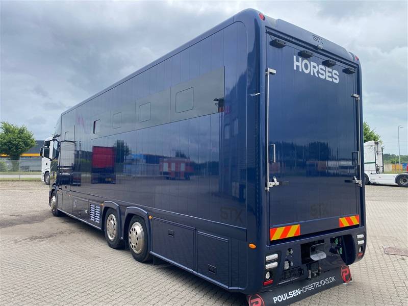 Horsebox NON-HGV Scania STX 2023 Used