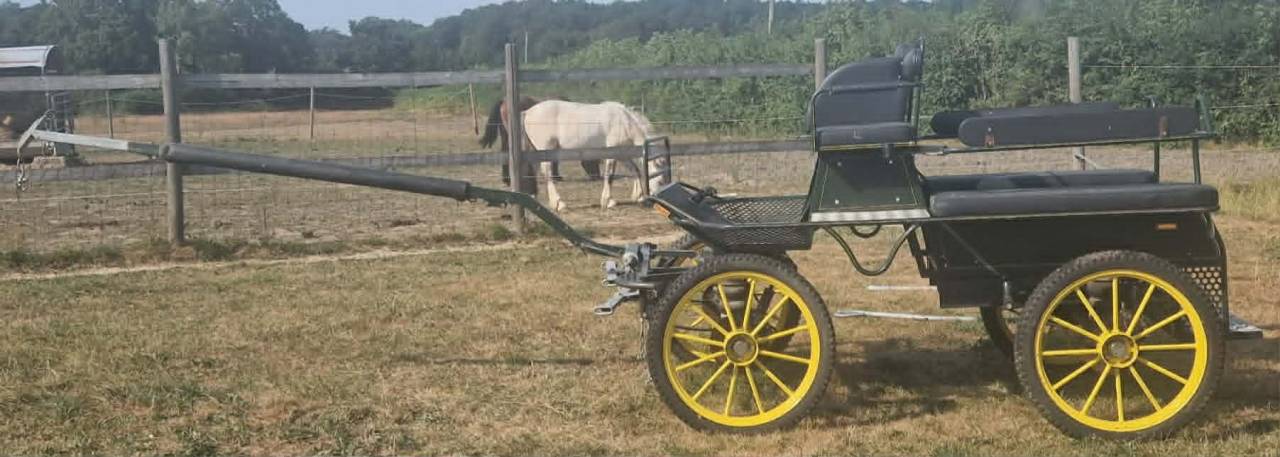 Carriage - Marathon for leisure - Other brand - Marathon loisir 
