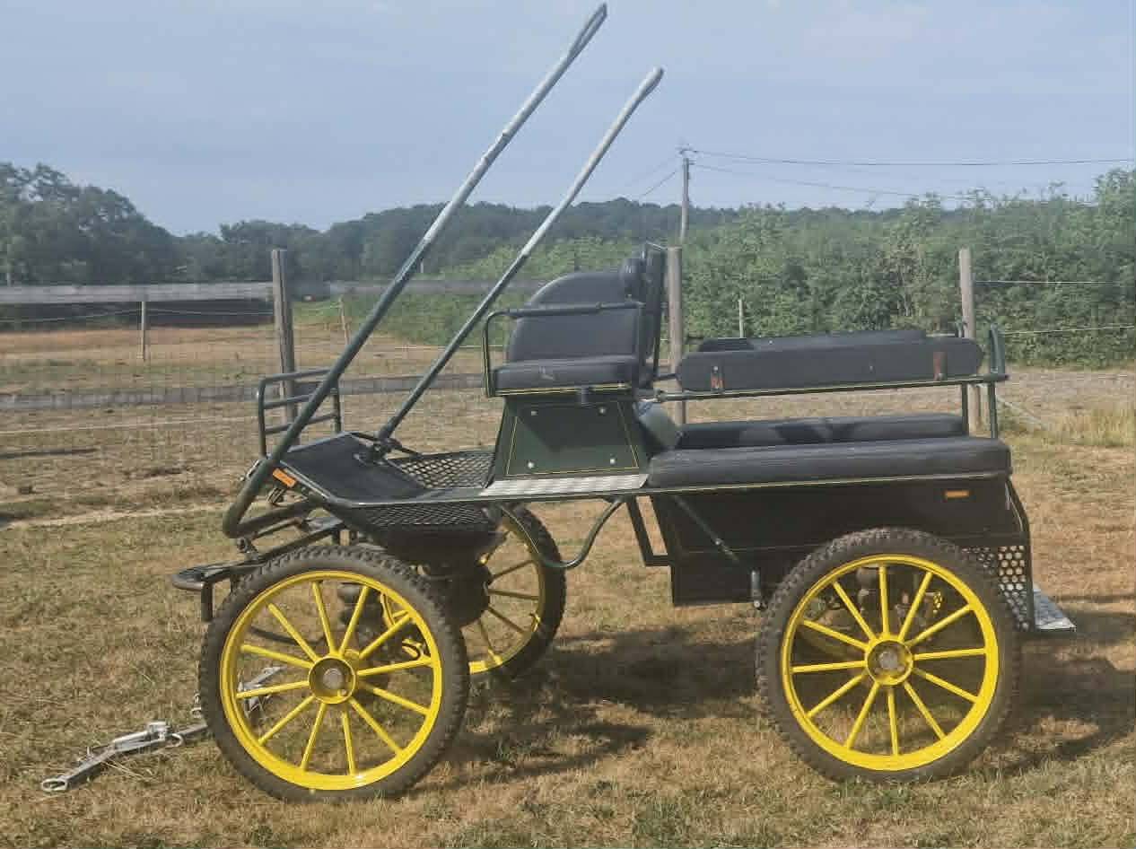 Carriage - Marathon for leisure - Other brand - Marathon loisir 