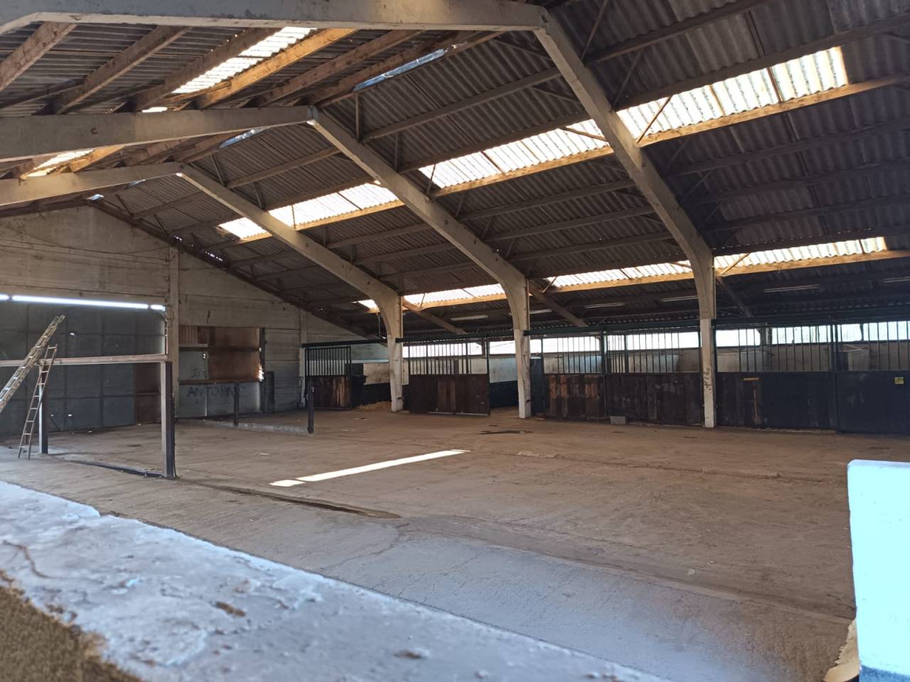 Luxurious equestrian property  Hainaut