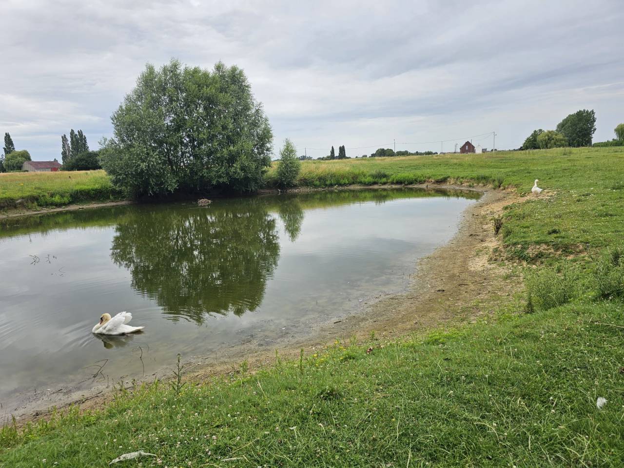 Luxurious equestrian property  Hainaut