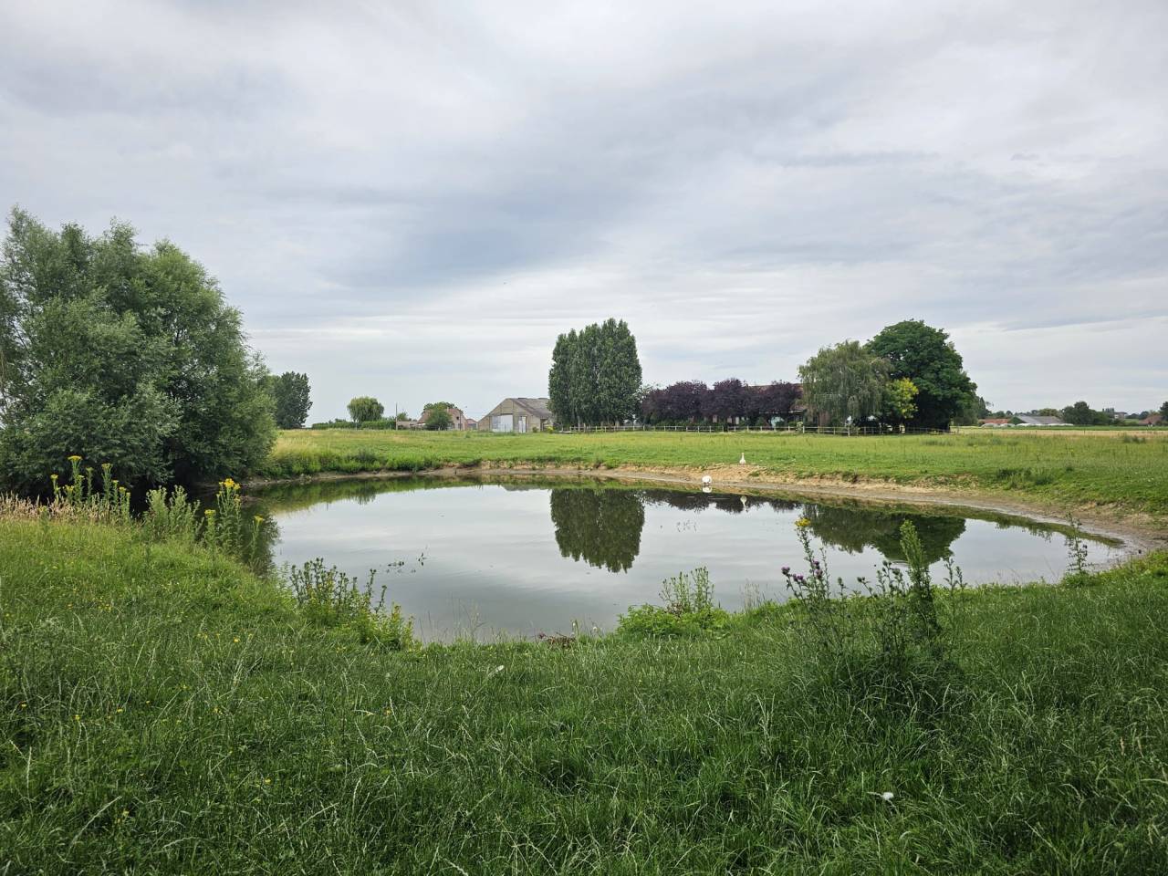 Luxurious equestrian property  Hainaut