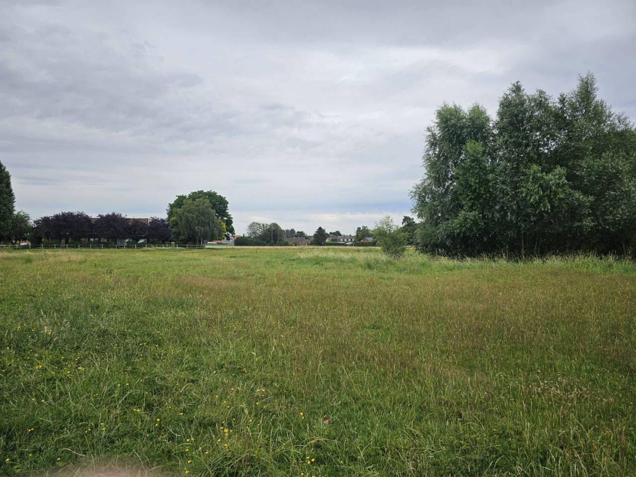 Luxurious equestrian property  Hainaut