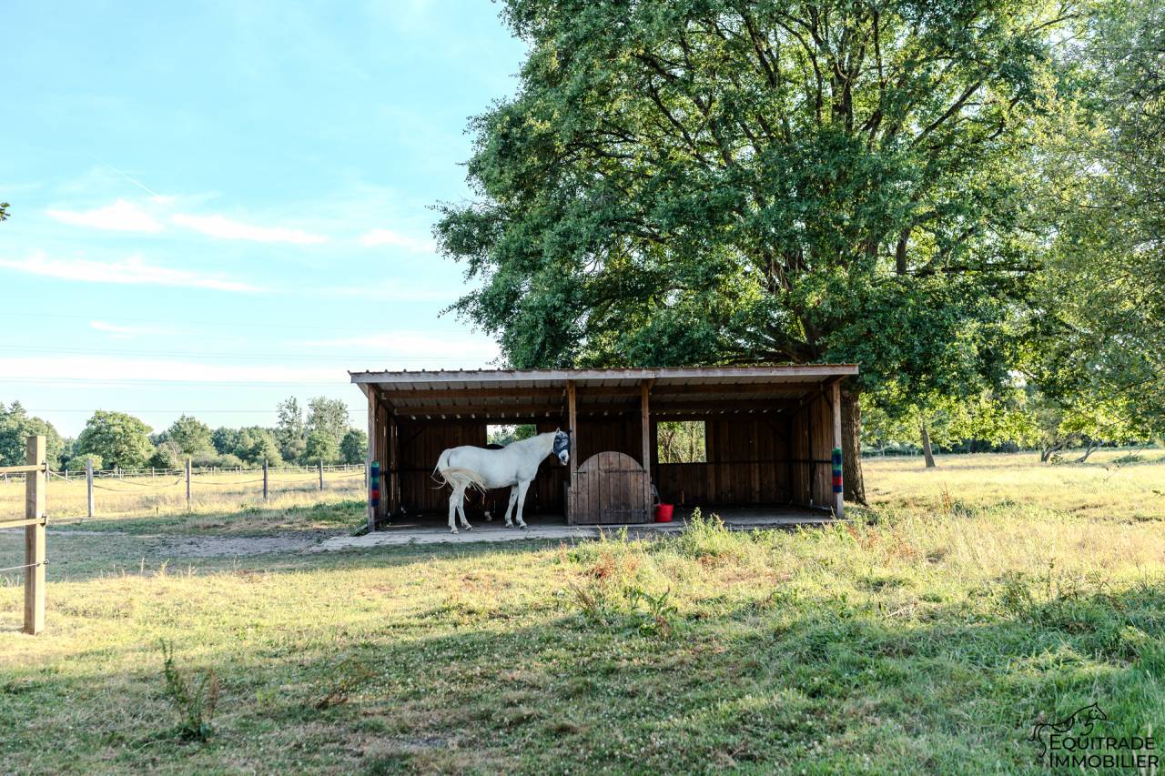 Luxurious equestrian property  Sarthe